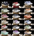 Bow Sneakers 2 **PRE ORDER**
